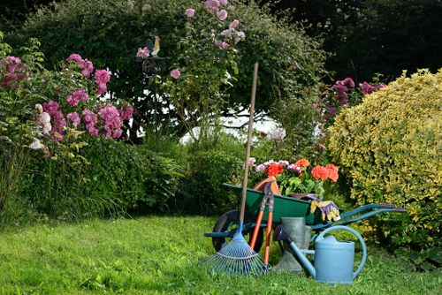 Garden waste being bagged on a city terrace