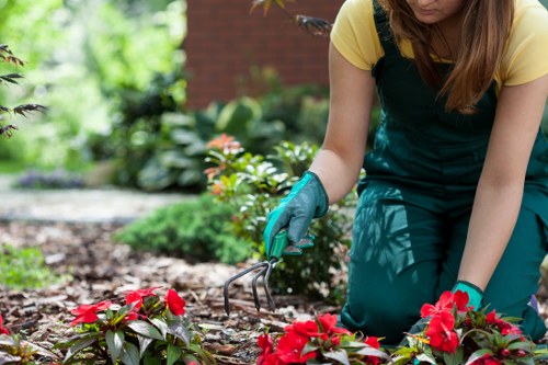 Gardener assessing a garden area with clipboard and safety gear