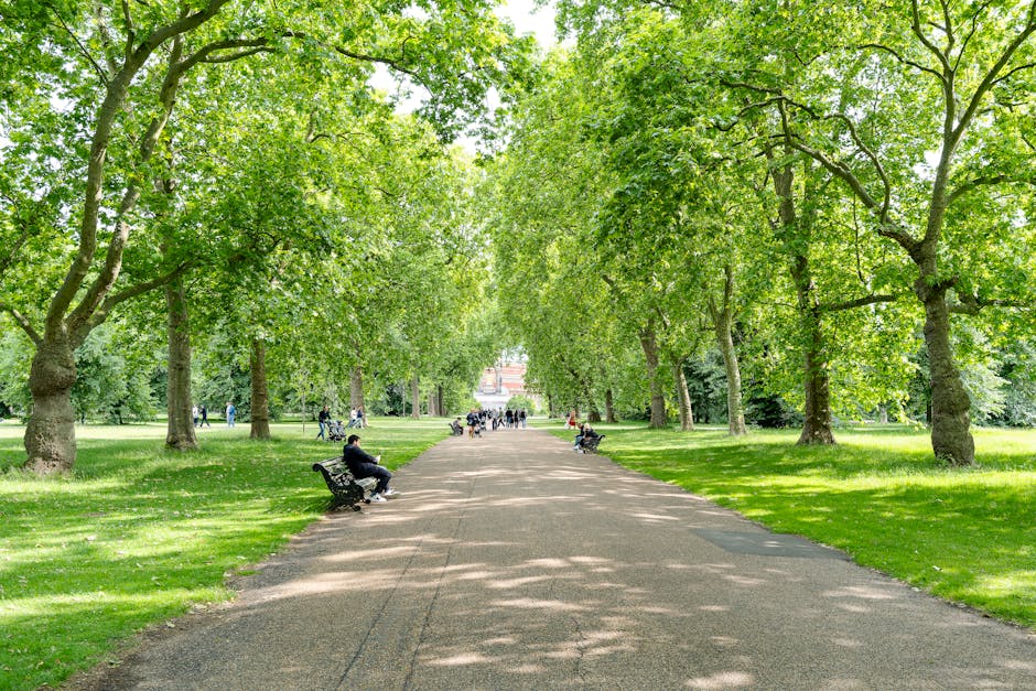 A straight, wide gravel pathway in a lush, green park lined with mature trees on both sides. The trees have thick trunks and dense, bright green foliage that creates a natural canopy overhead, casting